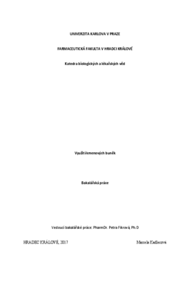 Document thumbnail
